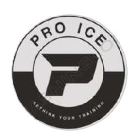 PRO ICE LLC